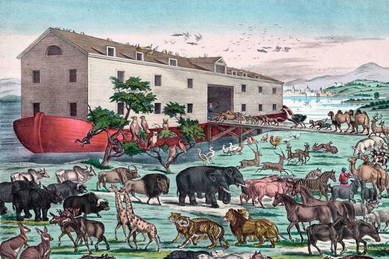 Animals entering the Ark 