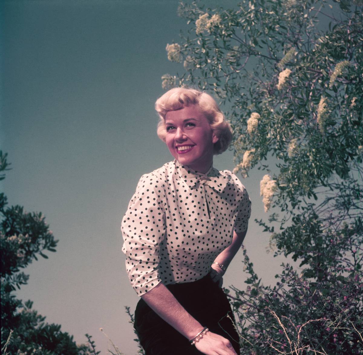 Doris Day Would Have Been an Awful Maria