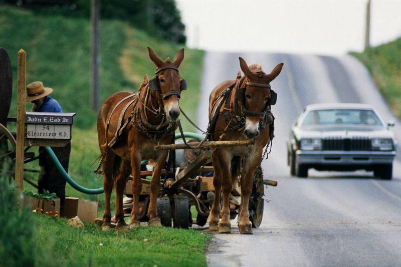 GettyImages-542341984