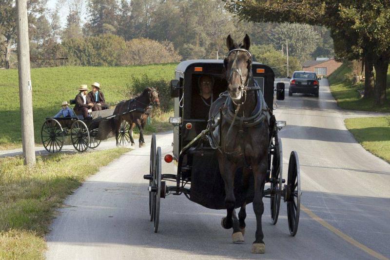 GettyImages-72076303