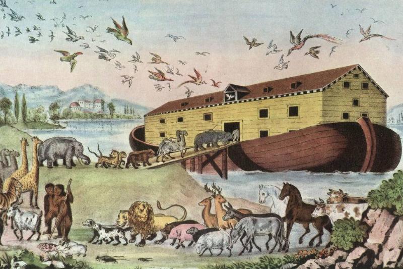 Picture of animals and the ark