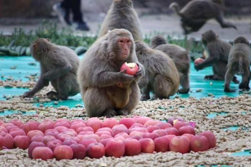 25 Comidas Baja Colesterol 18