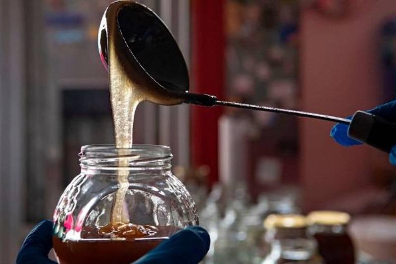 33 Comidas Insanas 6 33 Comidas Insanas 6