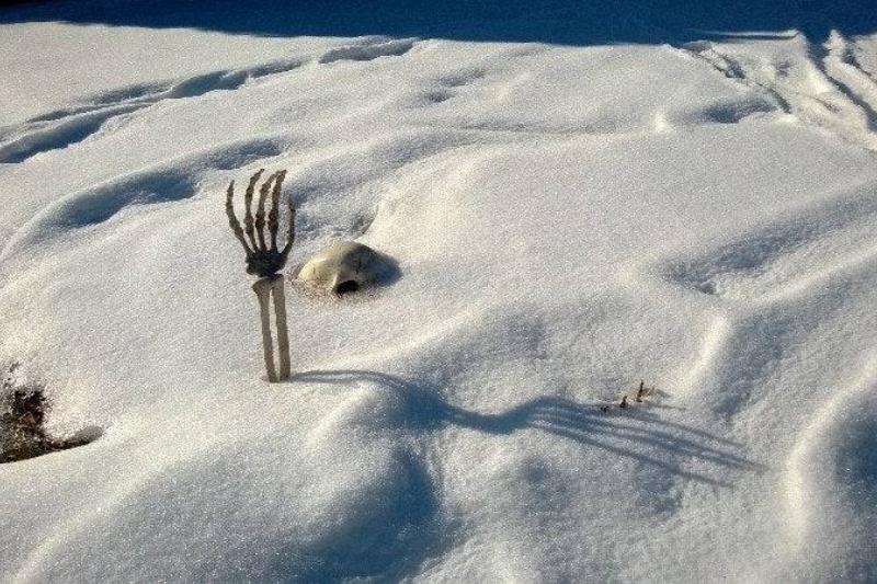 someone forgot to clean up their Halloween decorations before it snowed