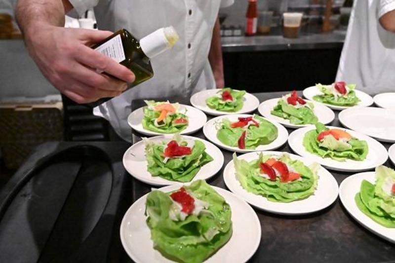 01 Renov Comida Insana 40 01 Renov Comida Insana 40