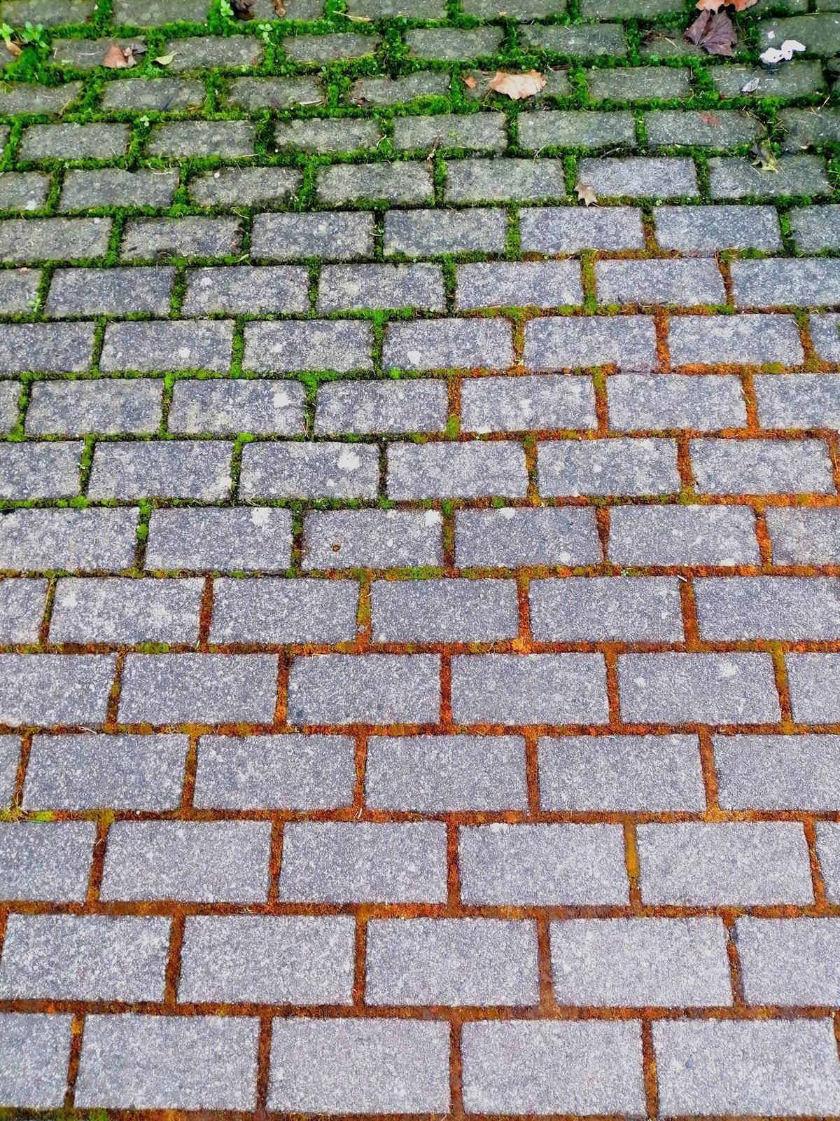 Color gradient moss through street concrete