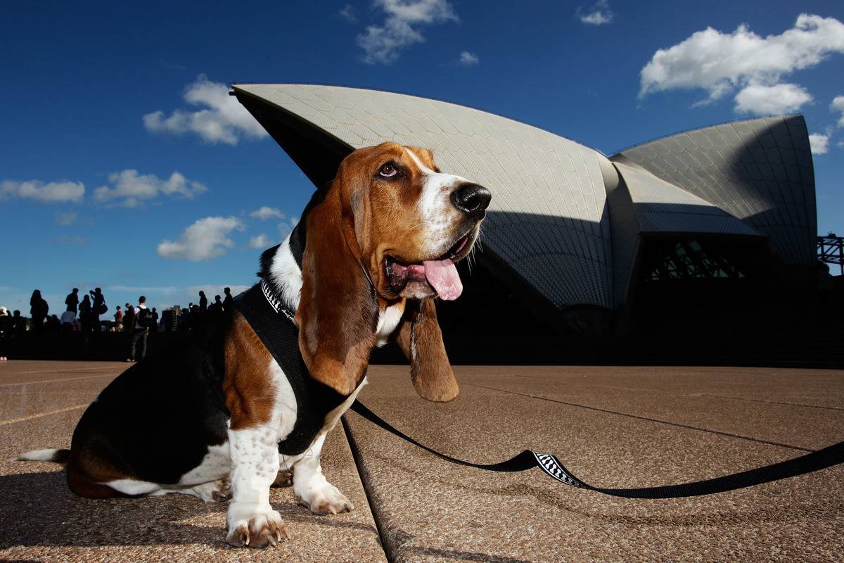 GettyImages-101630858