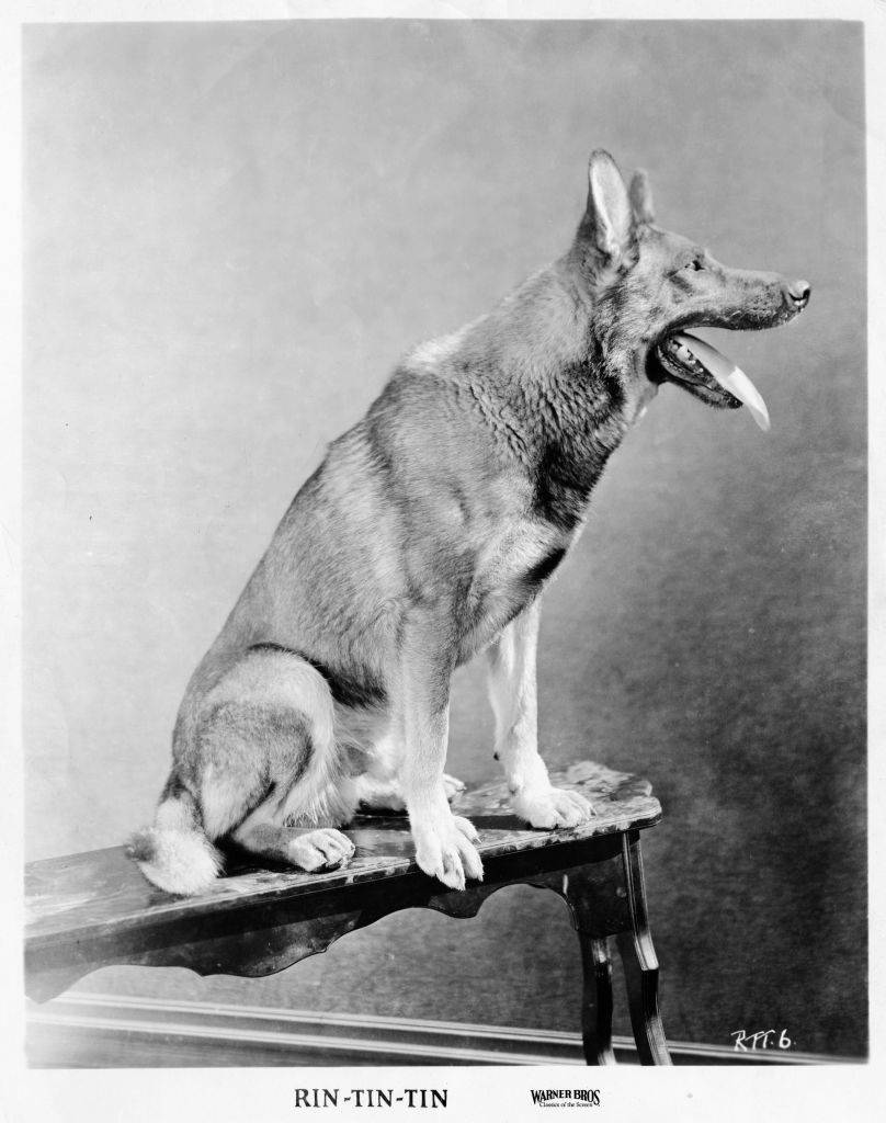 GettyImages-141662101