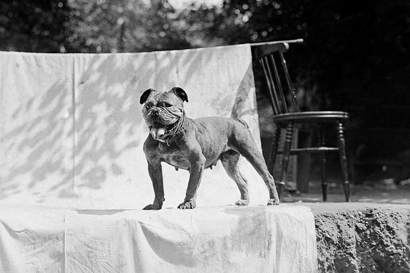 GettyImages-526250536