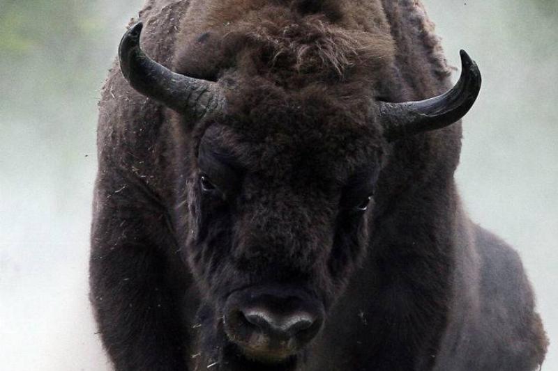 GettyImages-74111089