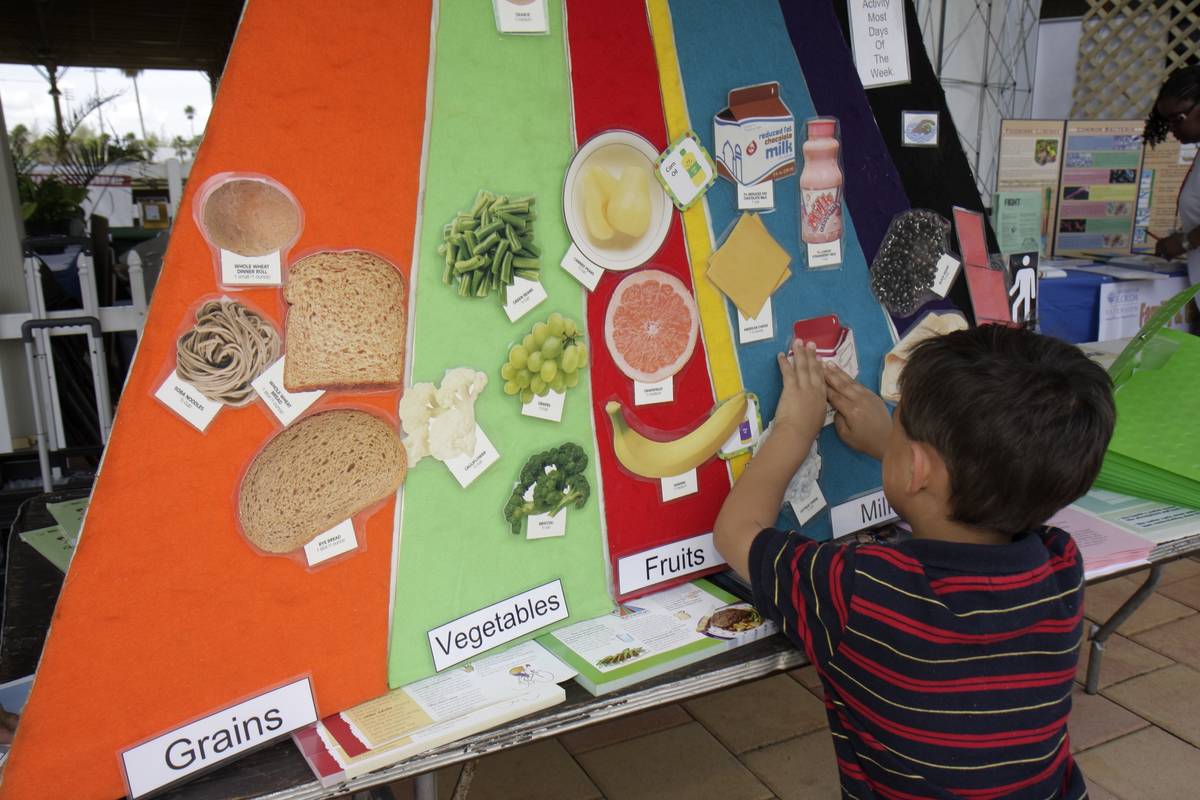 A boy fills out a food pyramid for a school project.