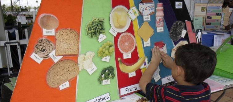 A boy fills out a food pyramid for a school project.