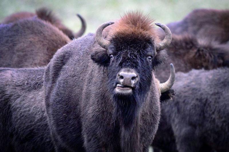 GettyImages-913389760