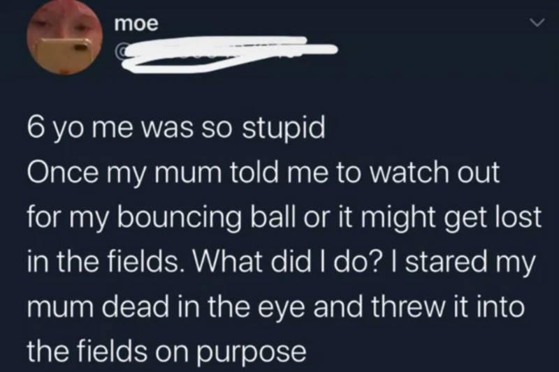 six-year-old me was so stupid once my mum told me to watch out for my bouncing ball or it might get lost in the fields. What did I do? I stared my mum dead in the eye and threw it into the fields on purpose