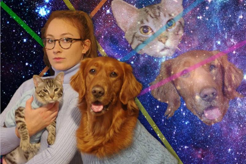 dog and cat woman, dog, and cat wear grey turtlenecks in front of galaxy background