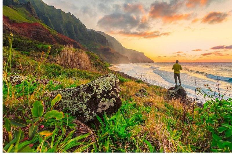 hawaii hawaii