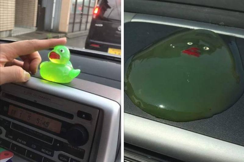 melted dashboard duck