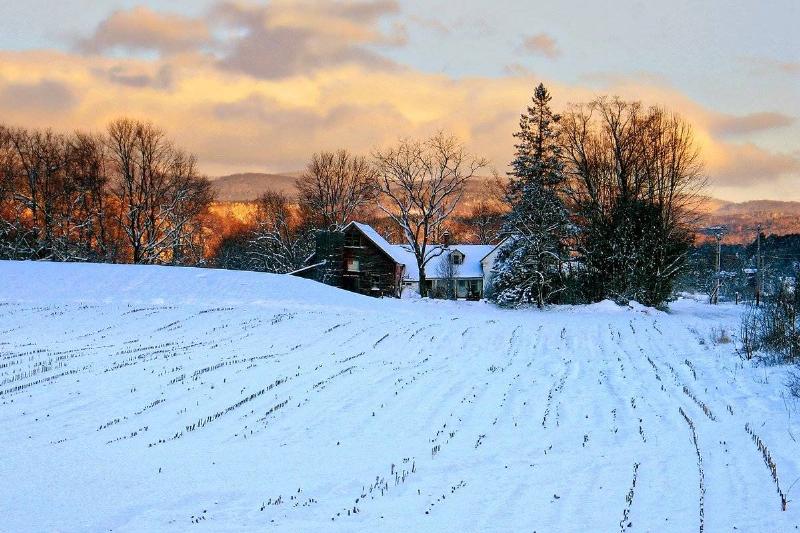 vermont vermont