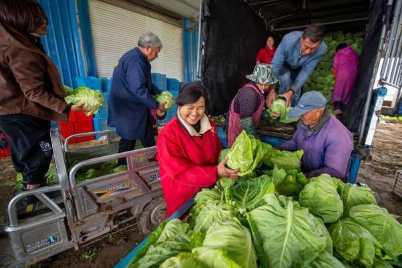 16 Renov Comidas Sanas 23 16 Renov Comidas Sanas 23