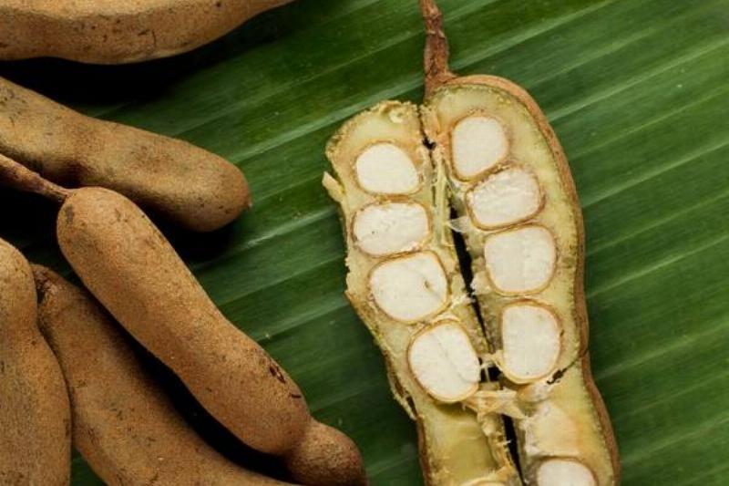 16 Renov Comidas Sanas 25 16 Renov Comidas Sanas 25