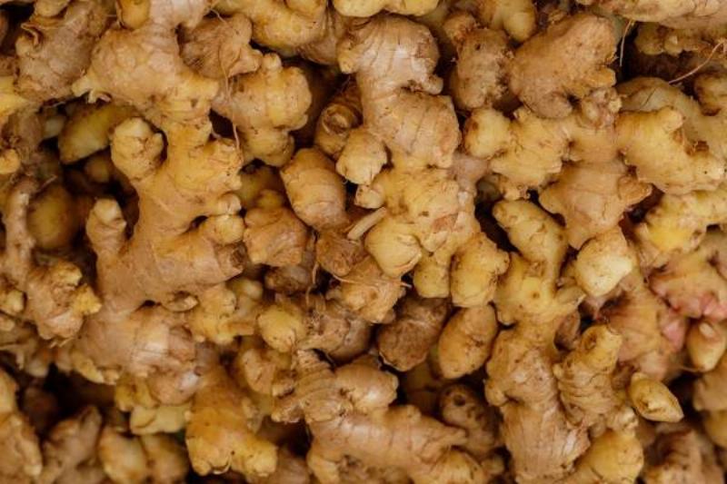 16 Renov Comidas Sanas 27 16 Renov Comidas Sanas 27