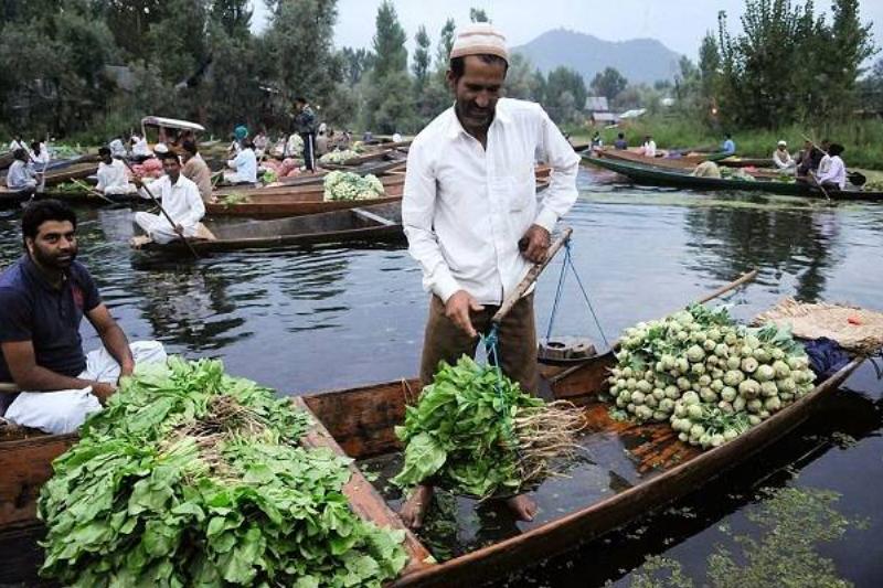 16 Renov Comidas Sanas 37 16 Renov Comidas Sanas 37