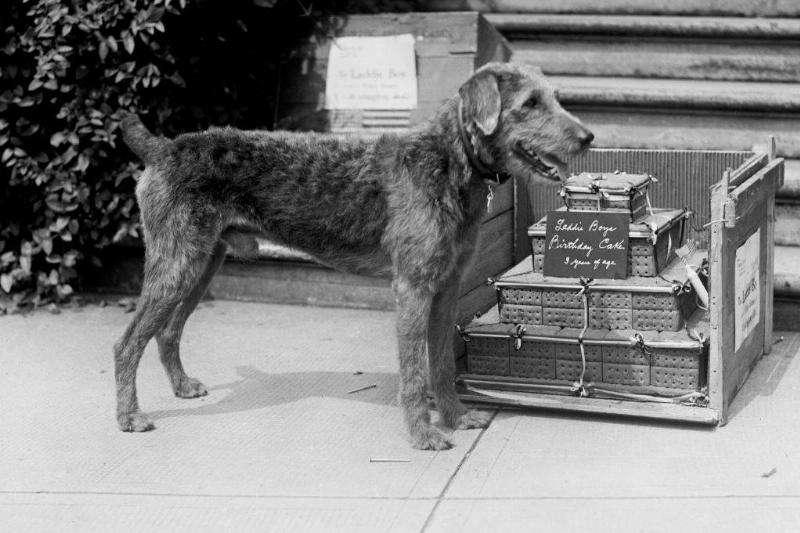 GettyImages-1140407161 (1)