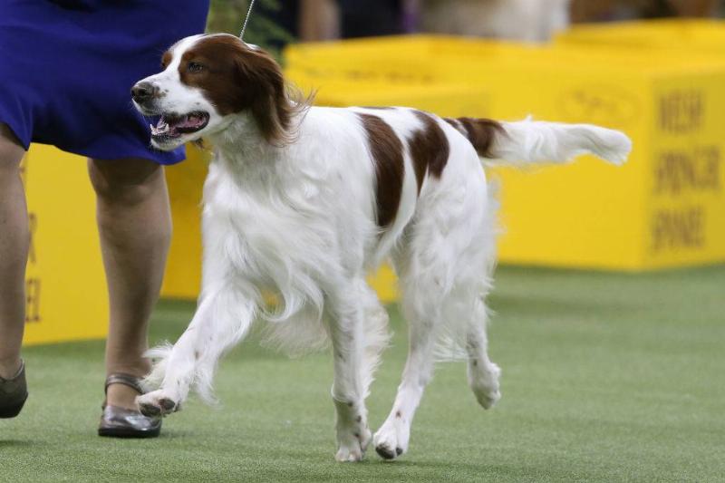 GettyImages-1200311726