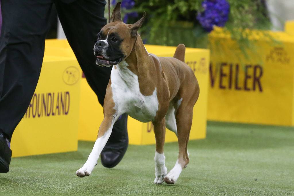 GettyImages-1201048034