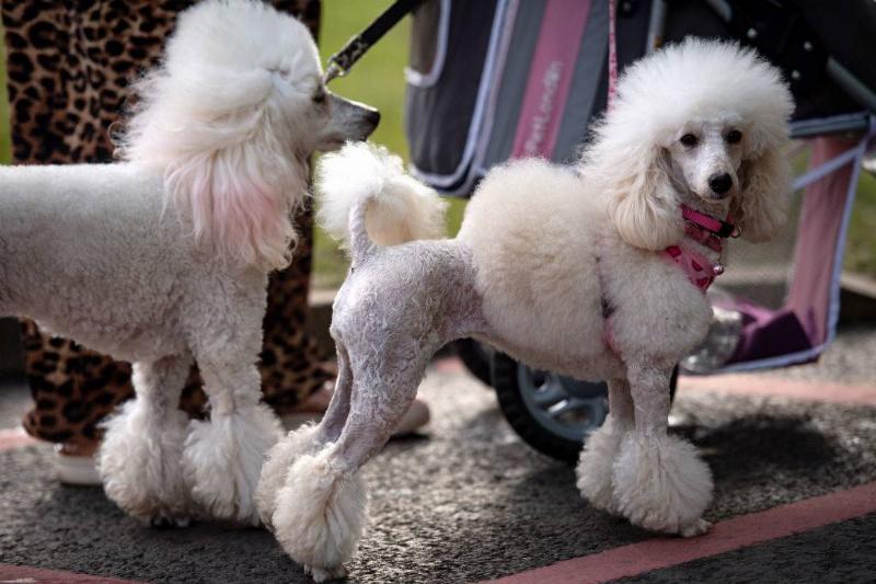 GettyImages-1205876267