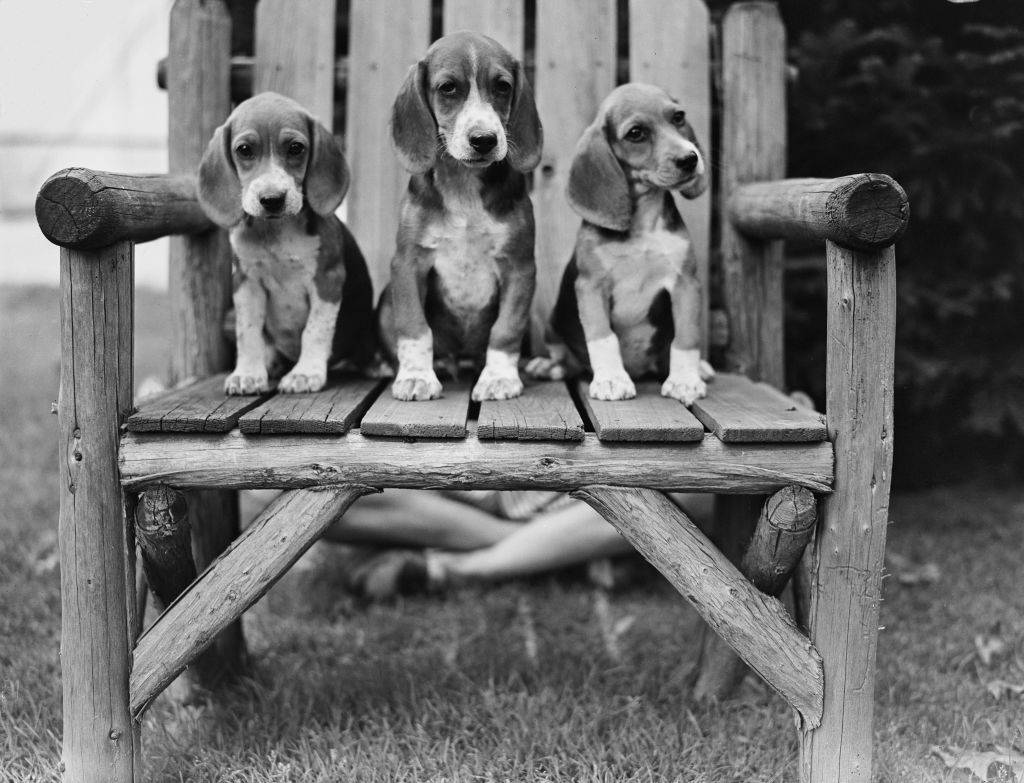 GettyImages-1226482020