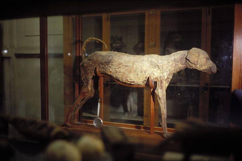 GettyImages-124122740