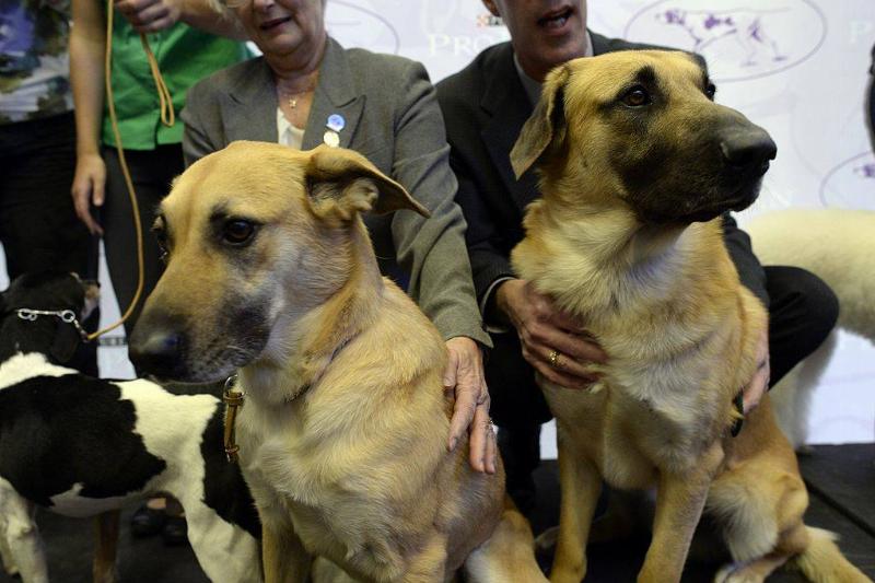 GettyImages-462799881