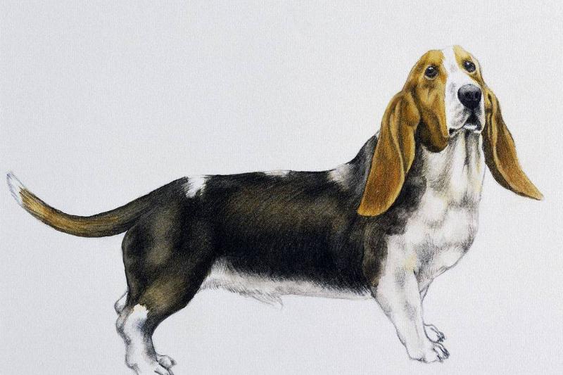 GettyImages-504688517