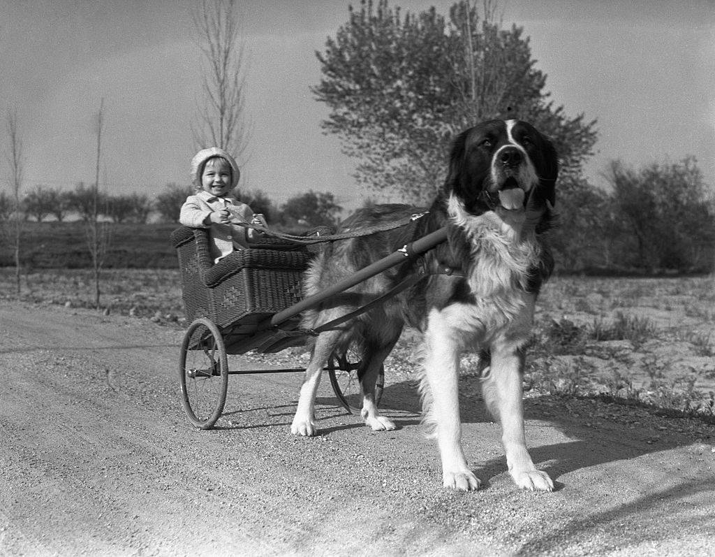 GettyImages-515346422