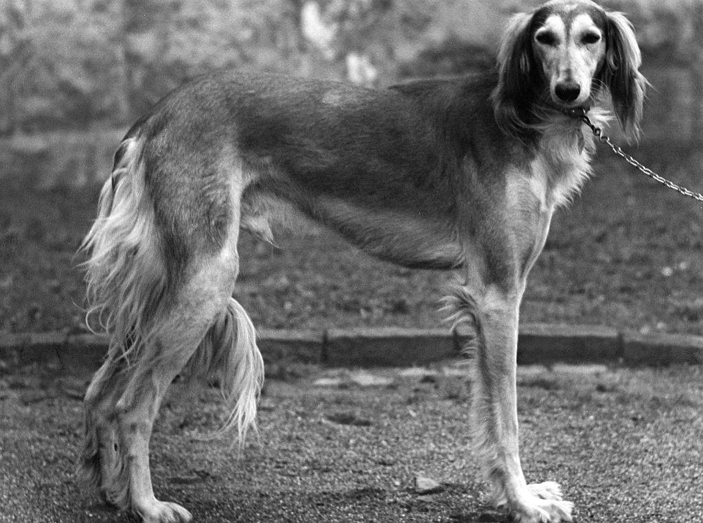 GettyImages-543902599