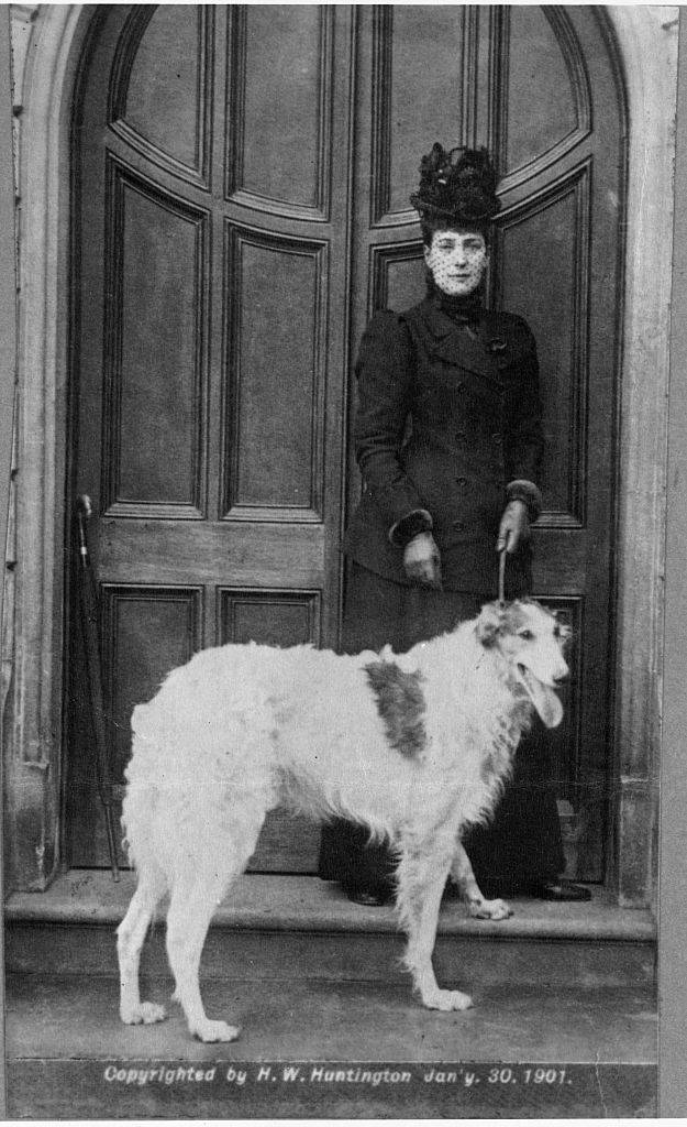 GettyImages-640464739