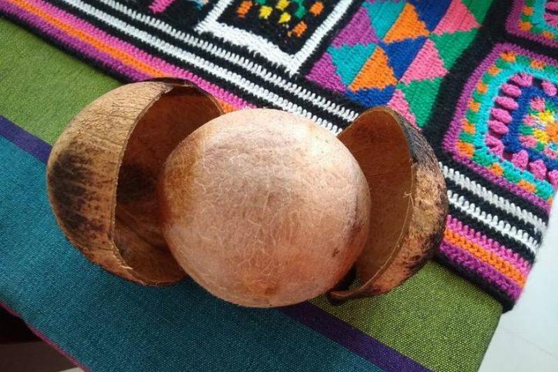 coconut cracked open