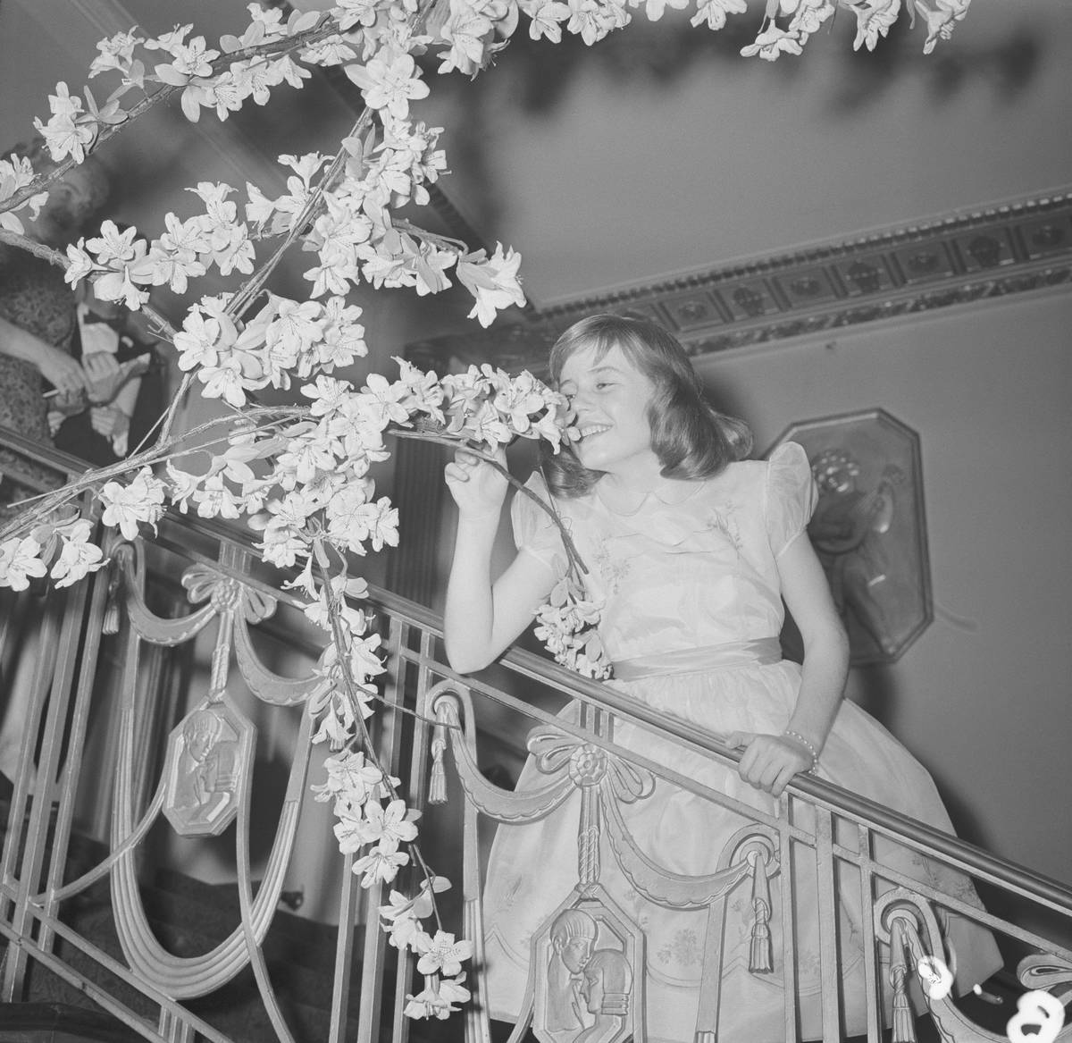 The 50s And Her First Roles