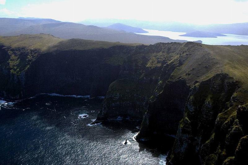 Picture of Auckland Islands 