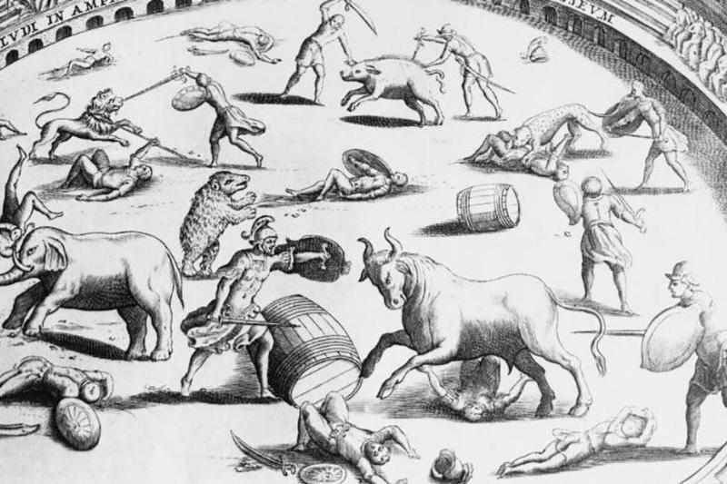 animals animals