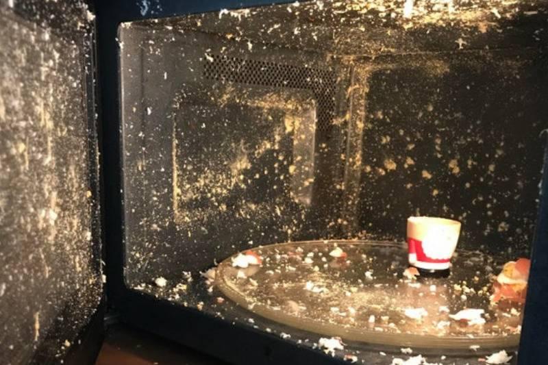 egg explodes in the microwave