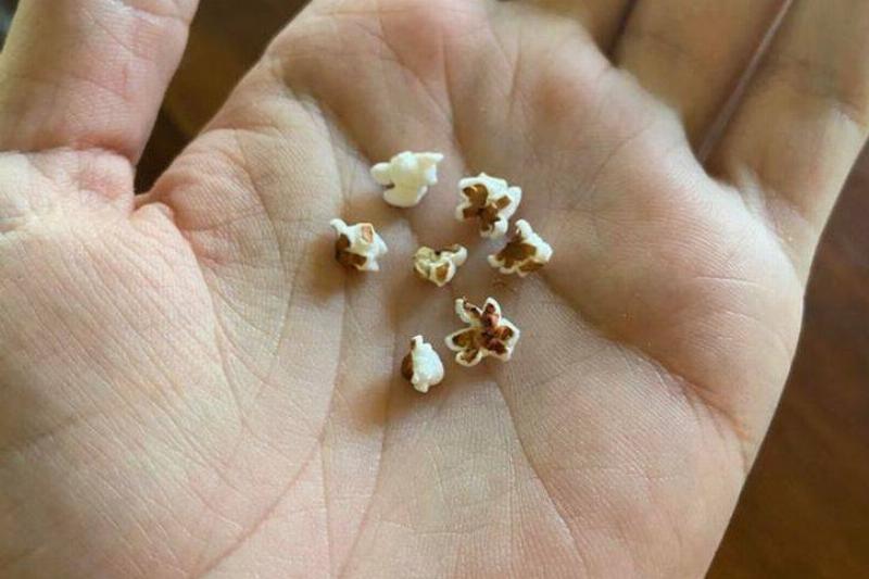 tiny popcorn kernels
