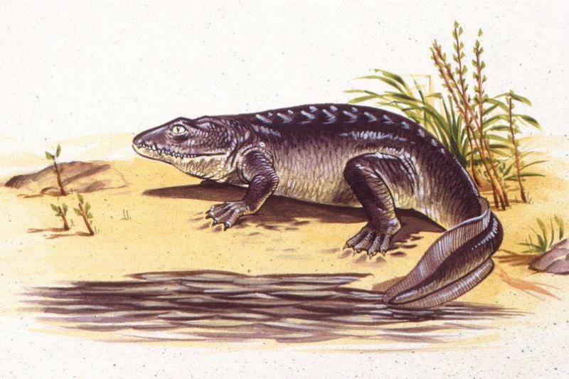 Painting of the creature 