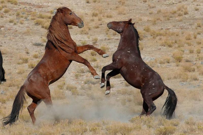 GettyImages-1229183717