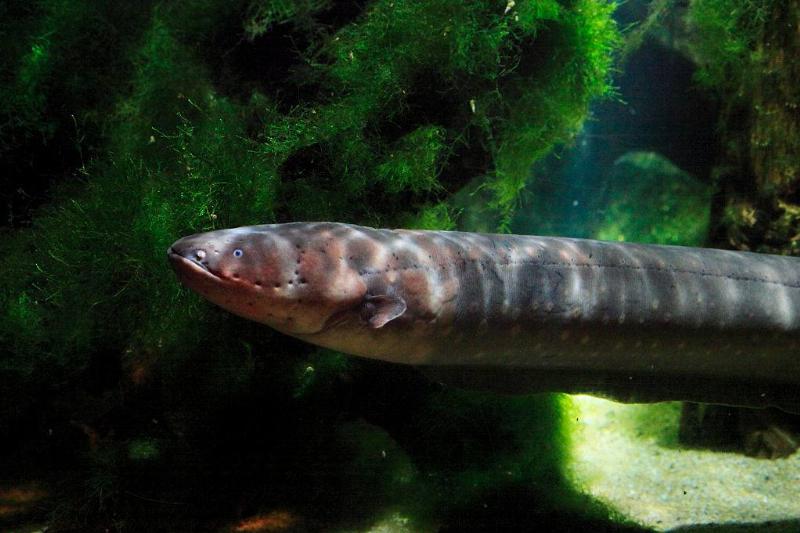 GettyImages-550611587