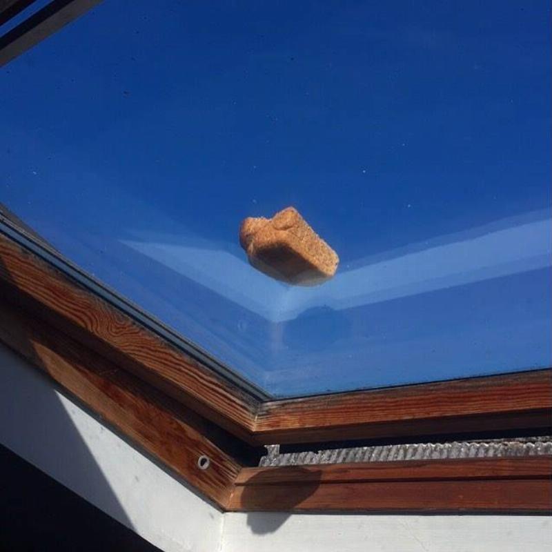 bread someone landed on someone's skylight 
