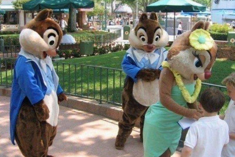 chip and dale chip and dale