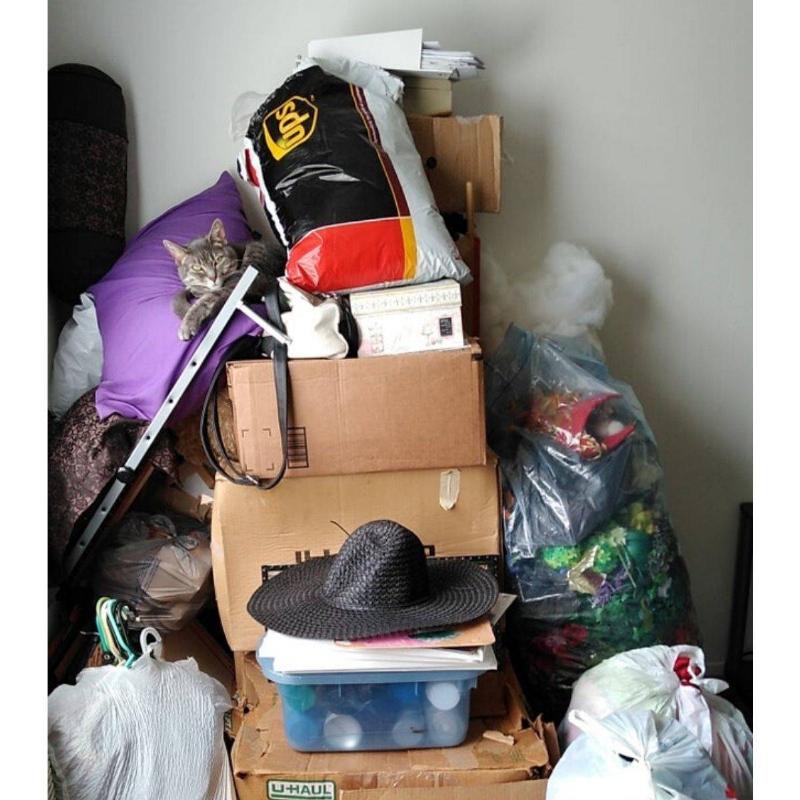 moving-in-or-moving-out-63910 moving-in-or-moving-out-63910