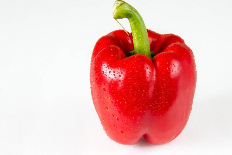 Beautiful red bell pepper with water droplets or condensation and over a white background